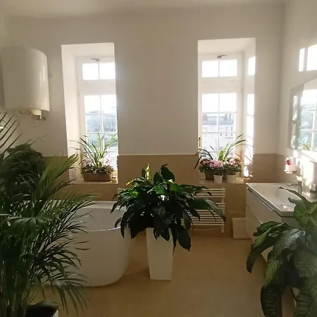 Konukevi In Centre 3*