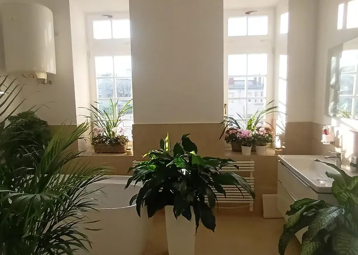 Pensión In Centre 3*